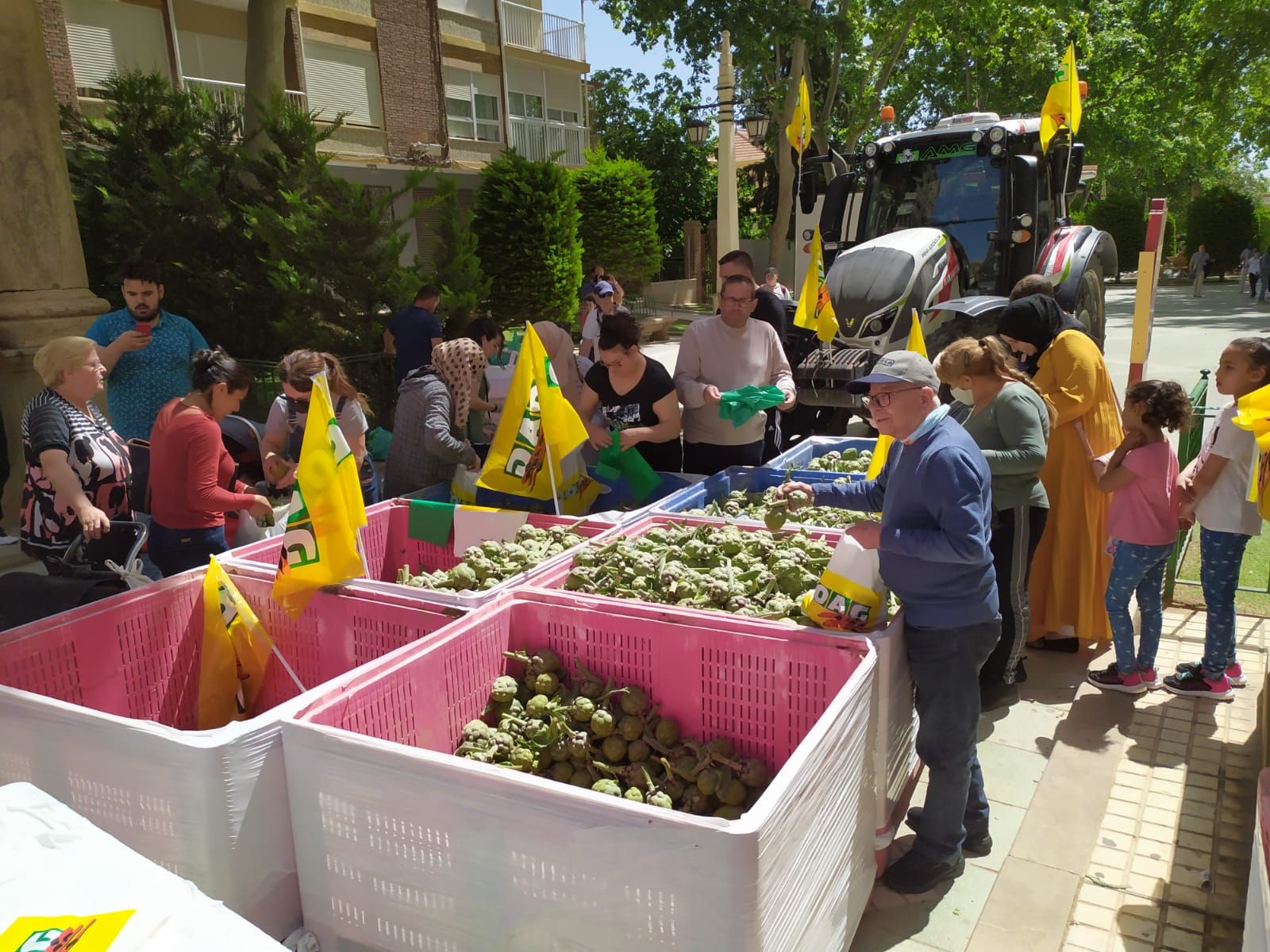 Entrega de alcachofas en Lorca