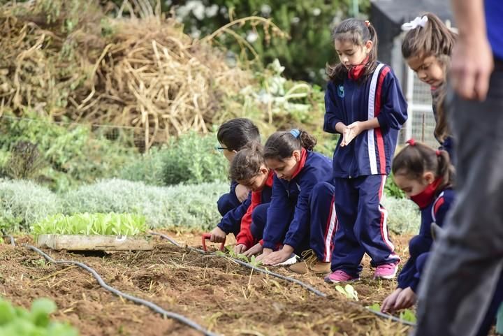 Visita escolar a la Granja Agricola del Cabildo