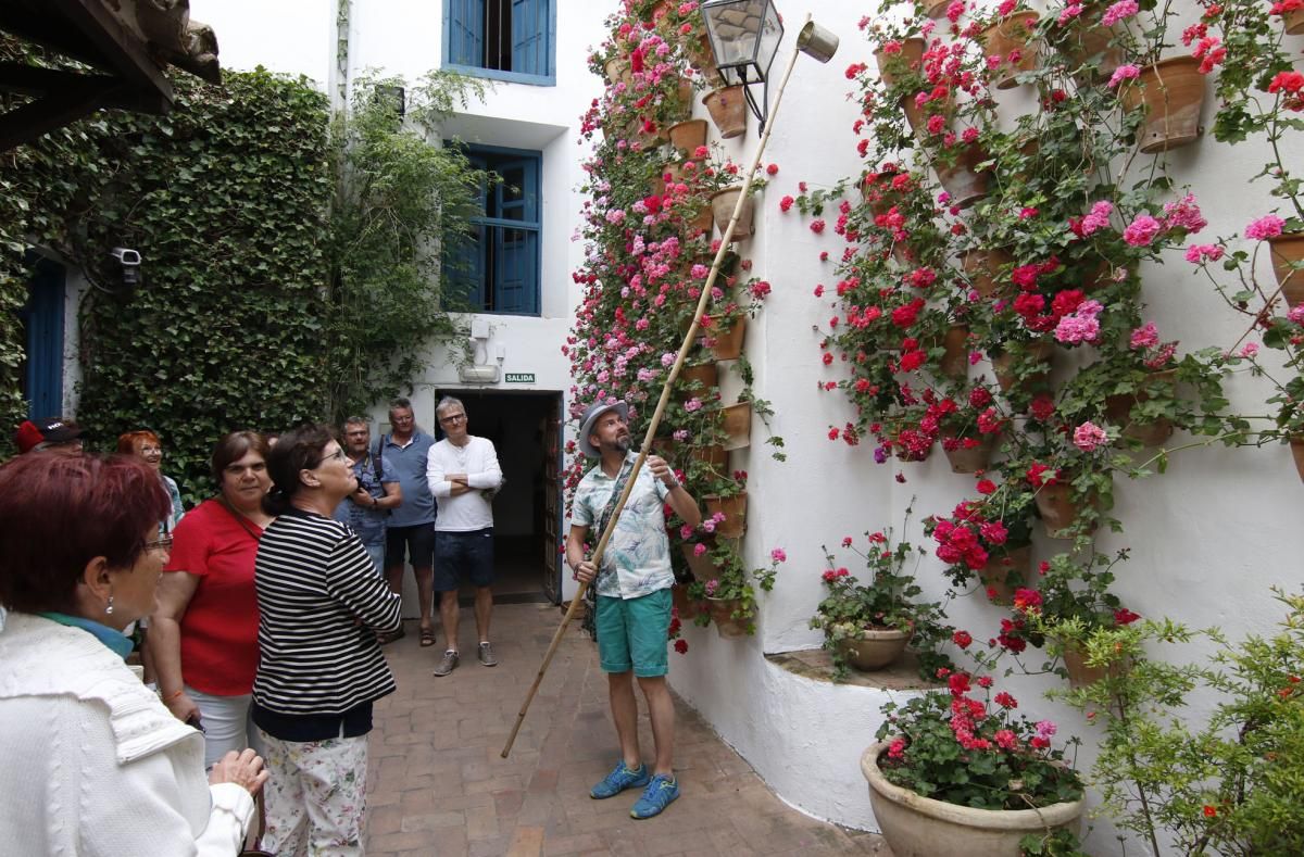 Los patios de Viana se abren a los visitantes del Mayo cordobés