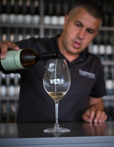 Vendimia en La Orotava, en los terrenos de bodega tajinaste