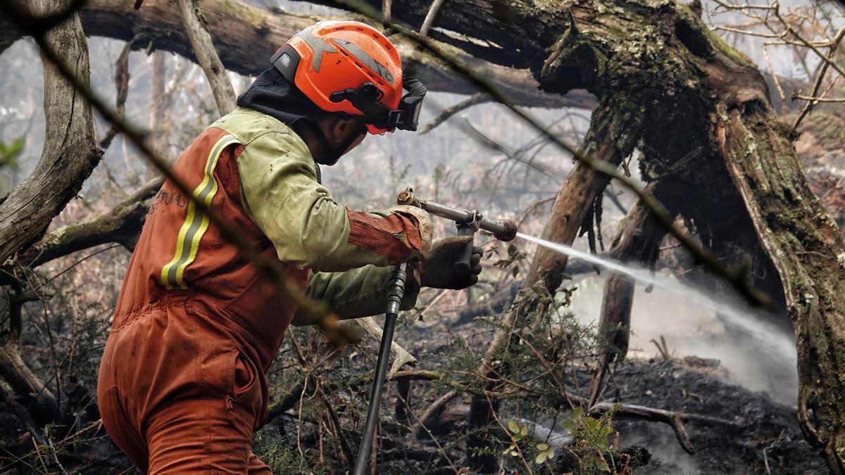 Bomberos de Asturias trabajan en las labores de extinción en un incendio forestal, a 29 de marzo de 2023, en Toraño, Parres, Asturias (España).