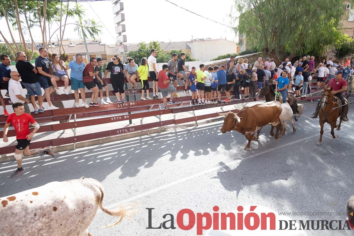 Séptimo encierro de las Fiestas de Moratalla