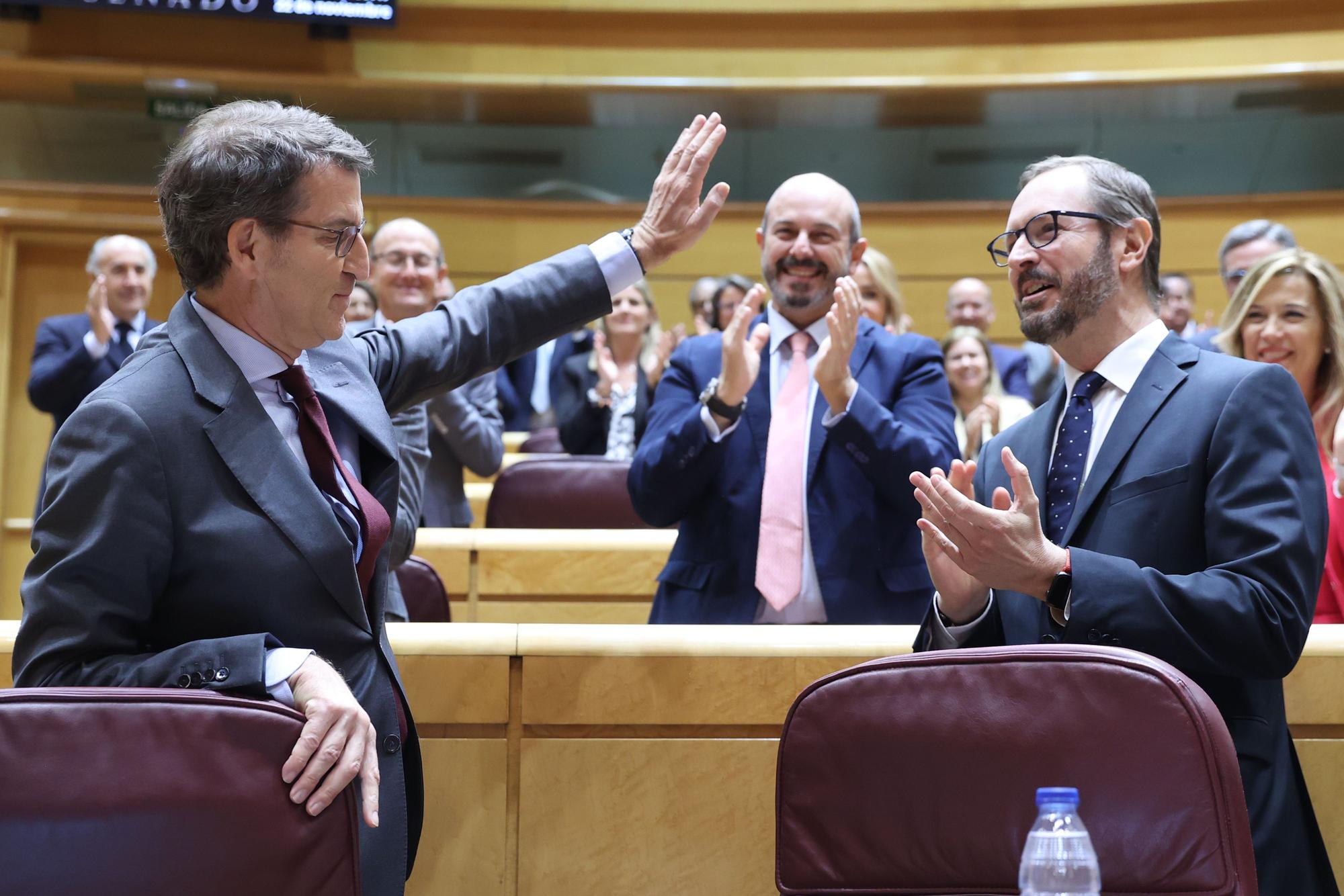 Feijóo durante la sesión de control en el Senado.