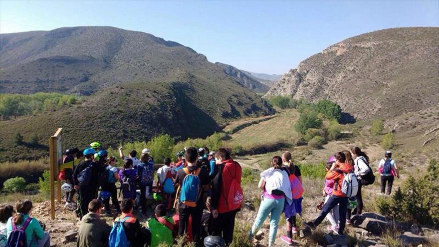 El CEIP Maestro Monreal vive una intensa semana de la naturaleza