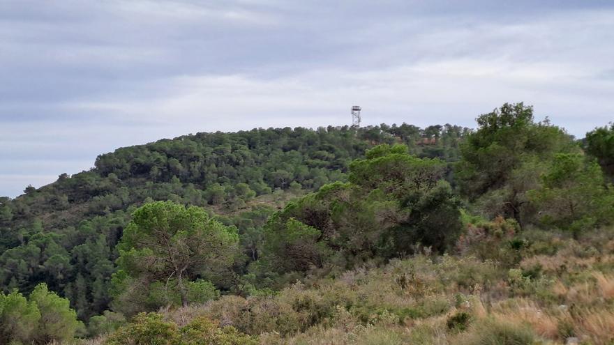 La sequía obliga a adelantar la apertura de observatorios forestales en Alicante