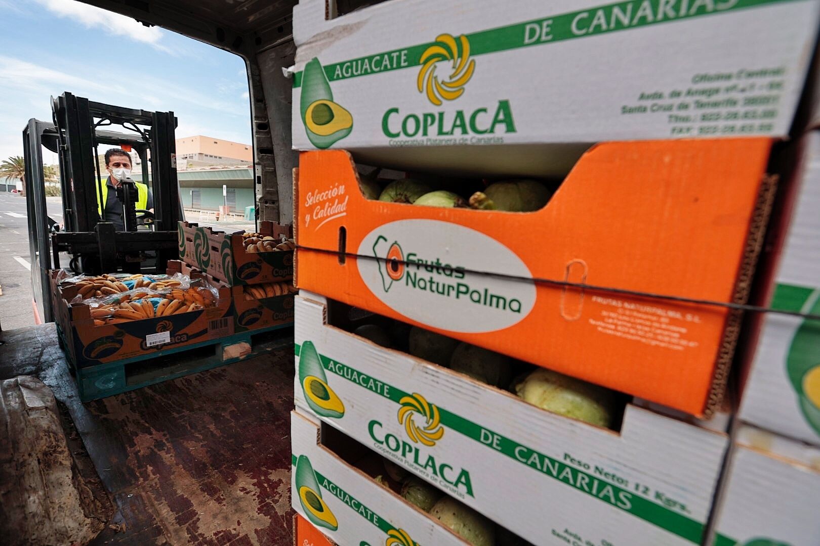 Reportaje en el Banco de Alimentos de Tenerife