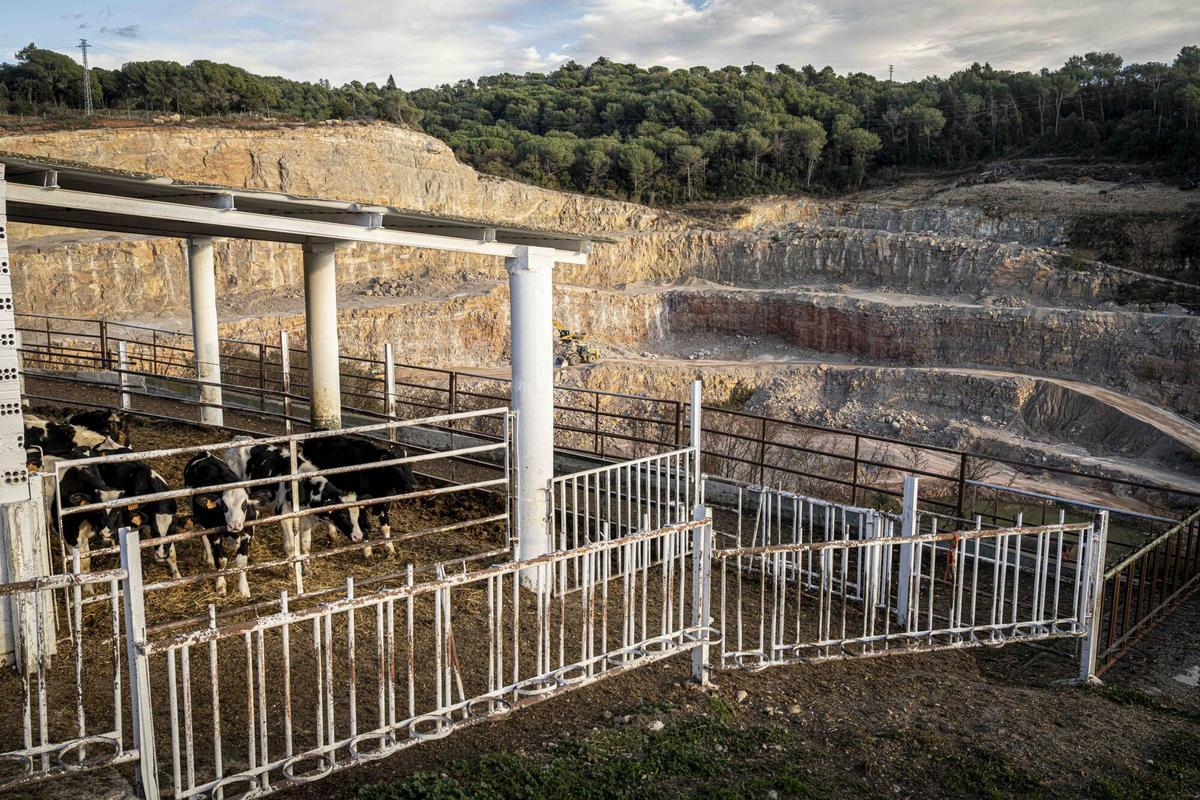 Barcelona, 23/12/2025. Barcelona. Un juzgado investiga vertidos ilegales en un depósito de escombros en Seva, que causa problemas a los vecinos del entorno (estaremos allí Guillem y Jordi, hemos quedado con un vecino denunciante que vive en una urbanización próxima al vertedero. AUTOR: MANU MITRU