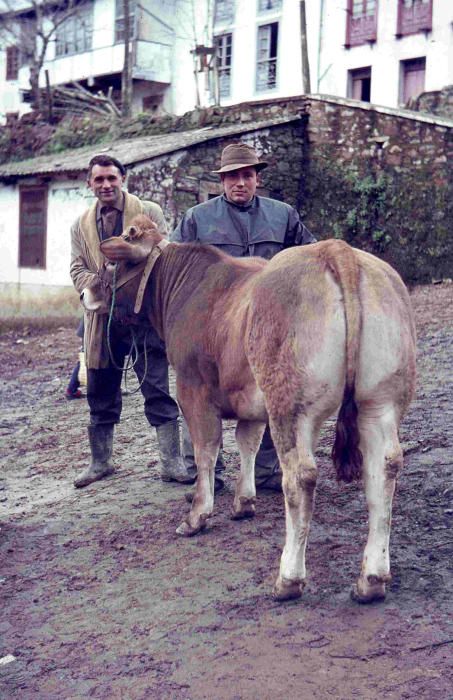 El Muséu del Pueblu d'Asturies publica el legado fotográfico de Julio Fernández Lamuño
