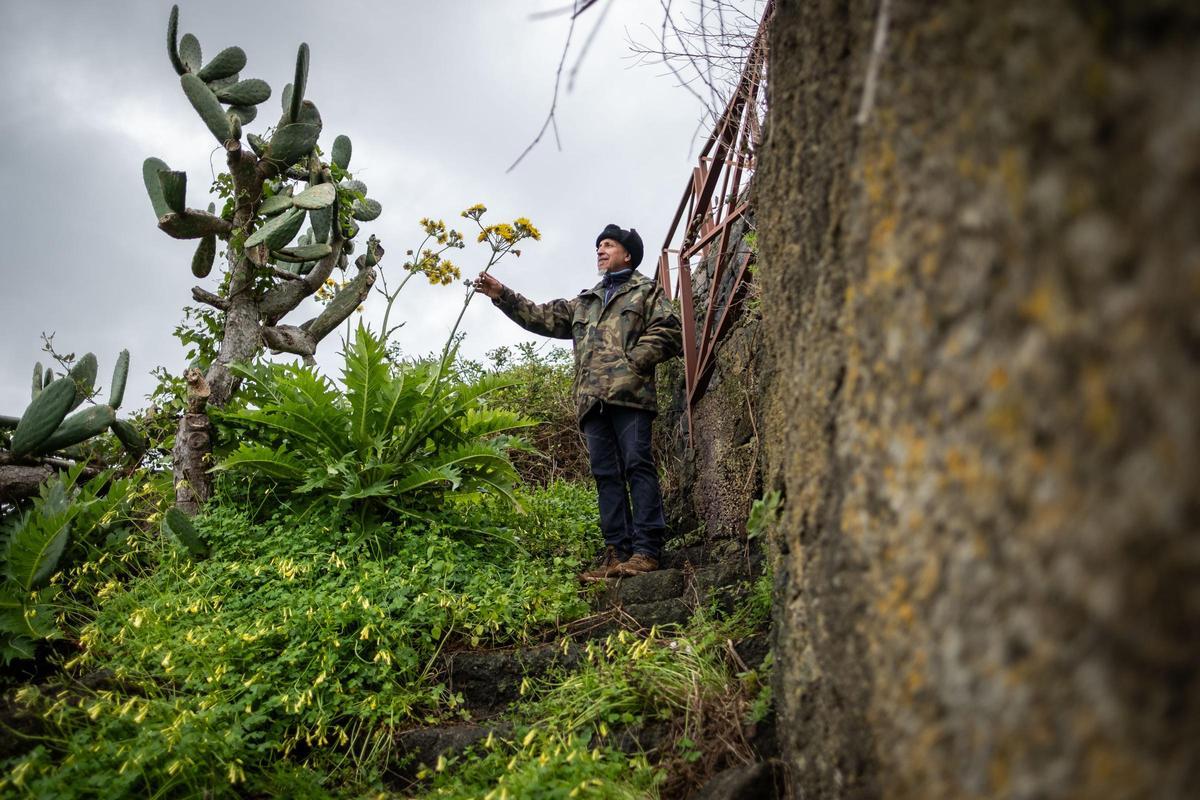 Un viaje a la Anaga profunda: Taborno