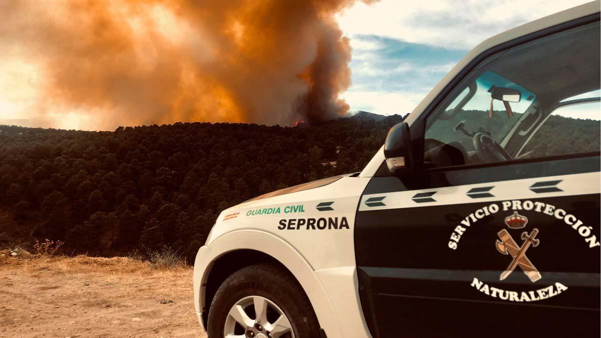 Desalojadas varias casas próximas a Robledo de Chavela por la cercanía del fuego