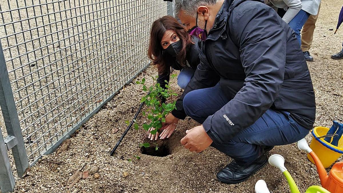 Visita al huerto escolar
del CEIP Cervantes. |