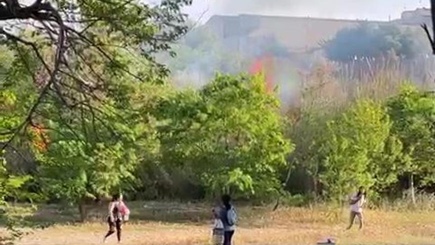 Imagen del fuego en el cauce del Millars, en Vila-real