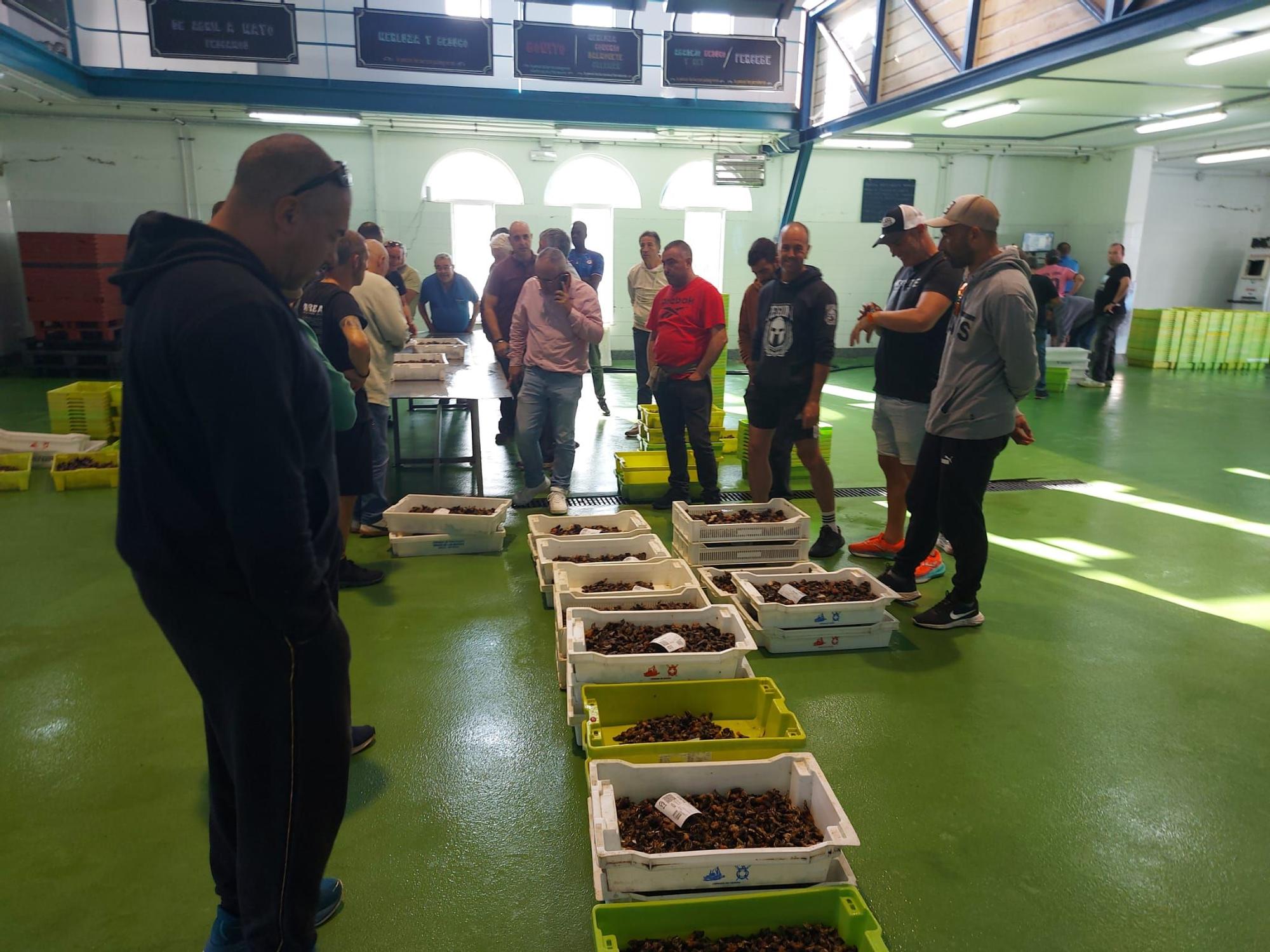 En imágenes: La primera subasta de percebe de la temporada en la rula de Puerto de Vega