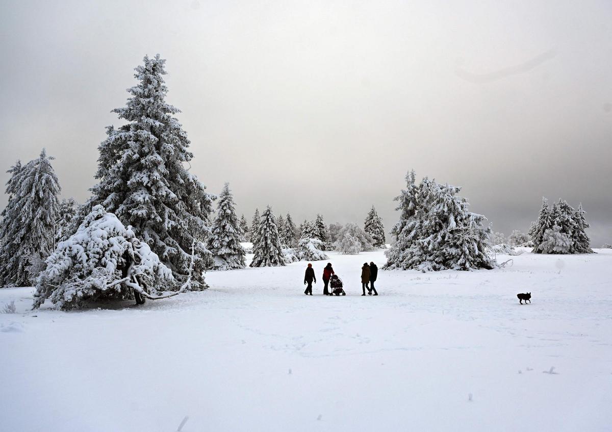 Paisaje cubierto de nieve en la montaña Kahler Asten cerca de Winterberg, Alemania occidental