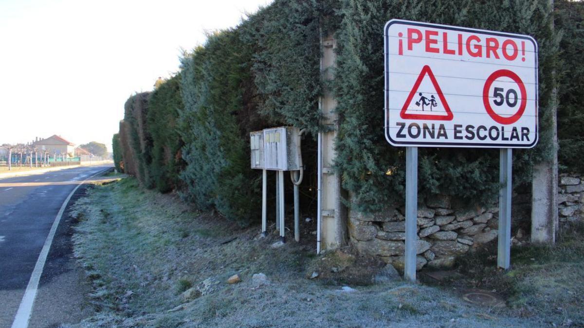 El seto del Centro Forestal se talará para levantar un muro de bloques 