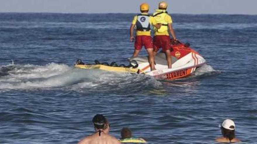 Rastrean la zona donde se avistó la raya en San Juan