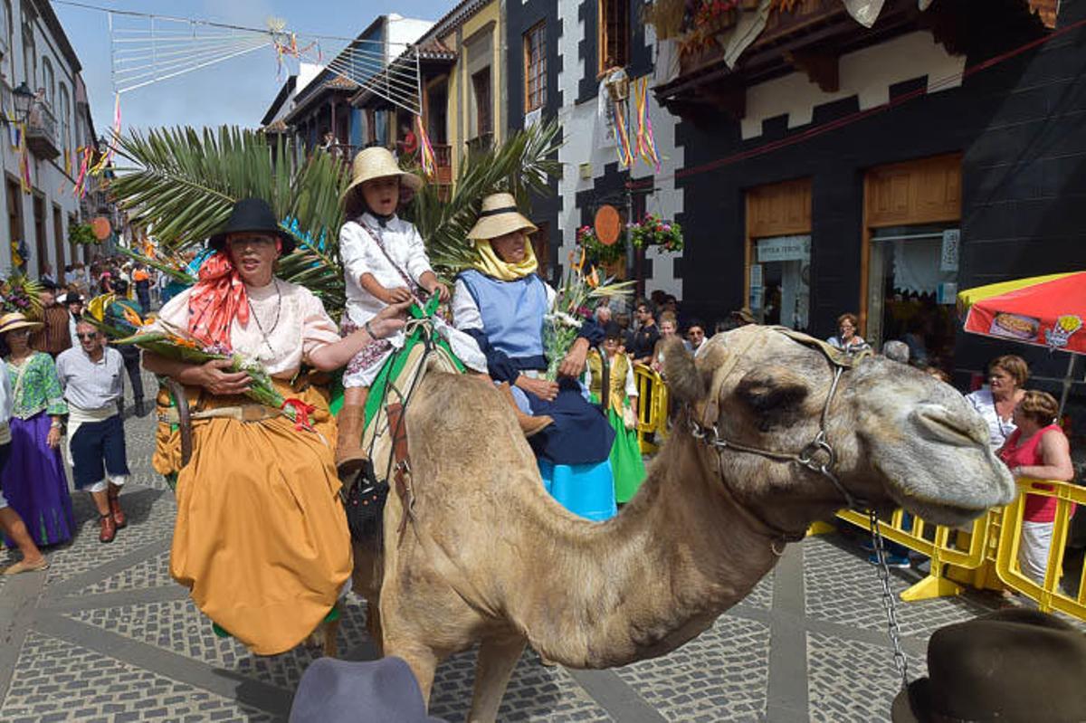 Carretas y grupos en la romería del Pino
