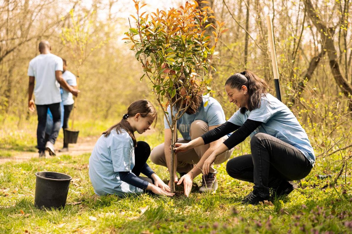 Imagen de archivo de voluntarios plantando árboles.