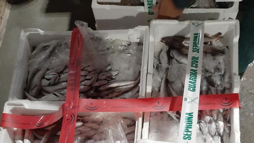Decomisan 830 kilos de pescado de Mercacórdoba que no cumplía las condiciones para su venta