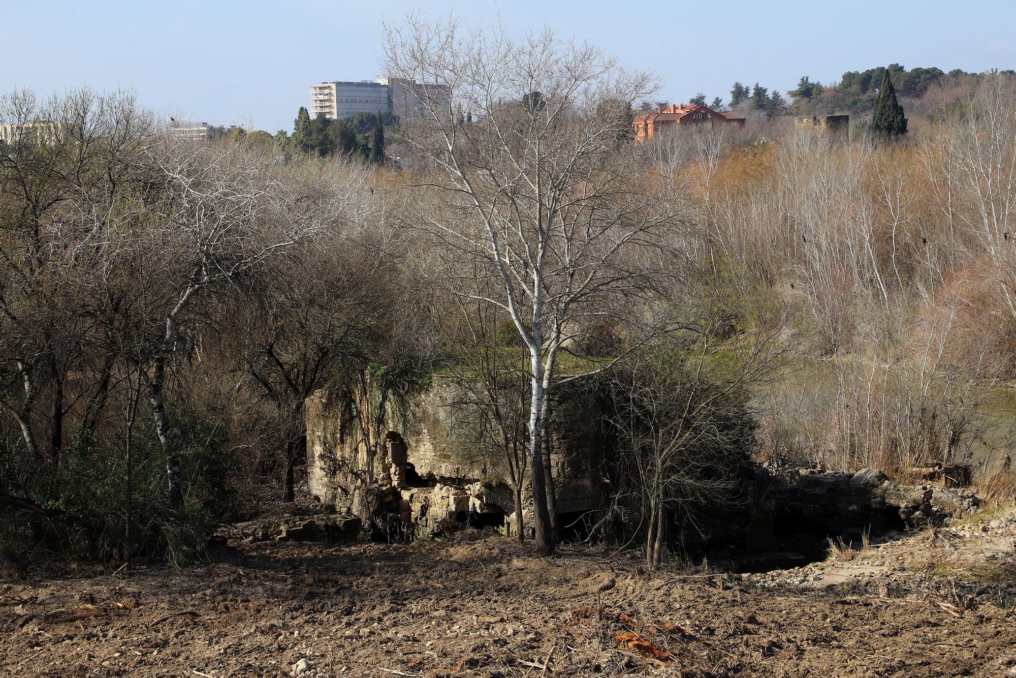 Molino de Jesús y María