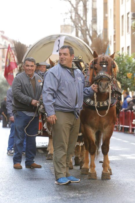 Sant Antoni en Valencia 2017