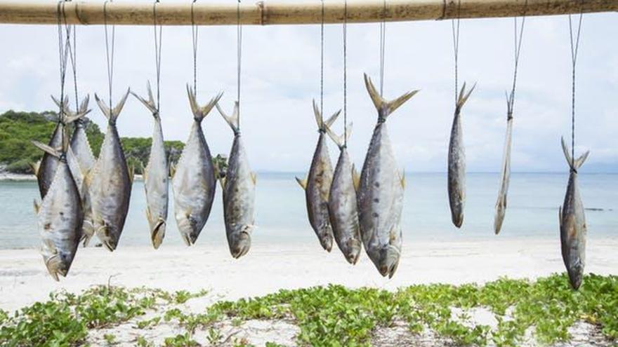 ¿Deberíamos dejar de comer pescado?