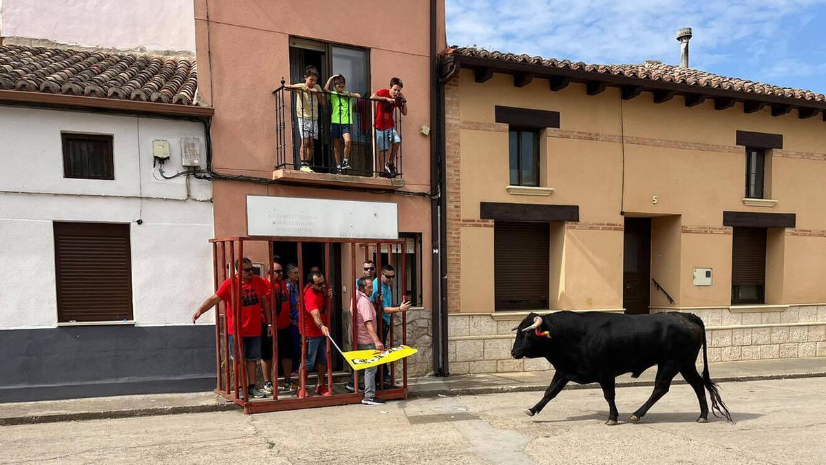 Morales de Toro, Fiestas de San Roque 2026