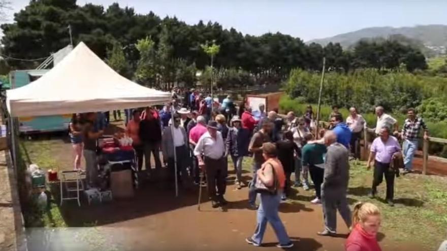 Valleseco prepara el bocadillo más grande de Canarias con mermelada de manzana