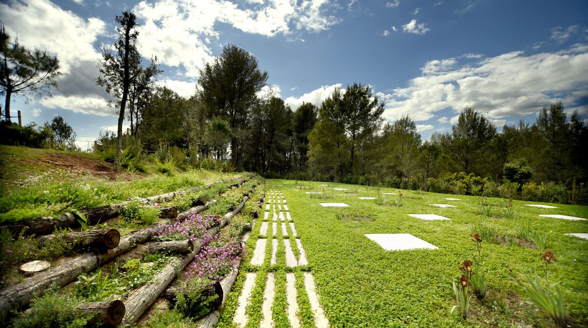 Cementerios sostenibles iniciativa de Áltima.