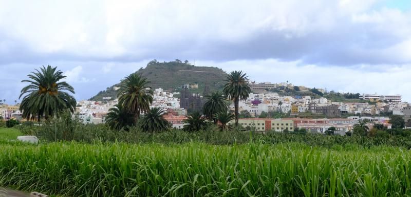 El agua caída con filomena beneficia al campo aruquense