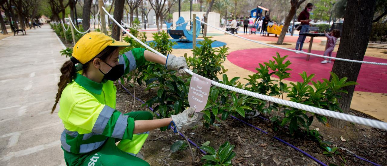 Una operaria del servicio de zonas verdes, en la plaza de la Viña, en una imagen reciente