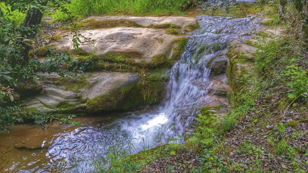 Rierol. Molt refrescant, aquesta imatge que ens envia el nostre lector d’un rierol al terme de l’Espunyola.