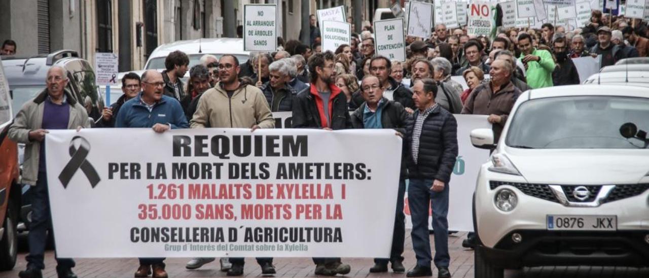 La manifestación protagonizada por los agricultores discurrió en la tarde de ayer por el Passeig del Comtat de Cocentaina.