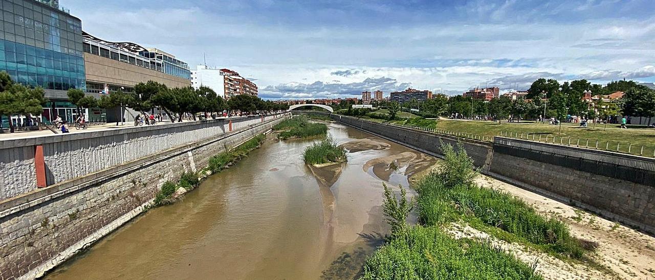 El río Manzanares, tras la renaturalización. En el círculo, un ejemplar de mosca negra.