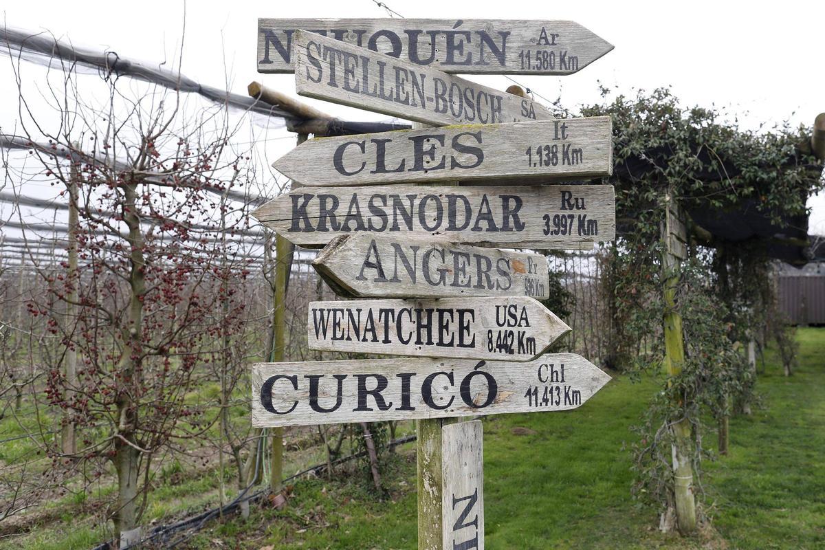 Pau i Guillem Frigola, propietaris de Mooma, i els seus productes