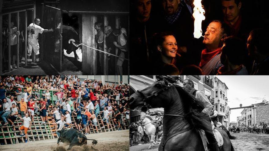 No te pierdas las mejores fotografías de toros del año