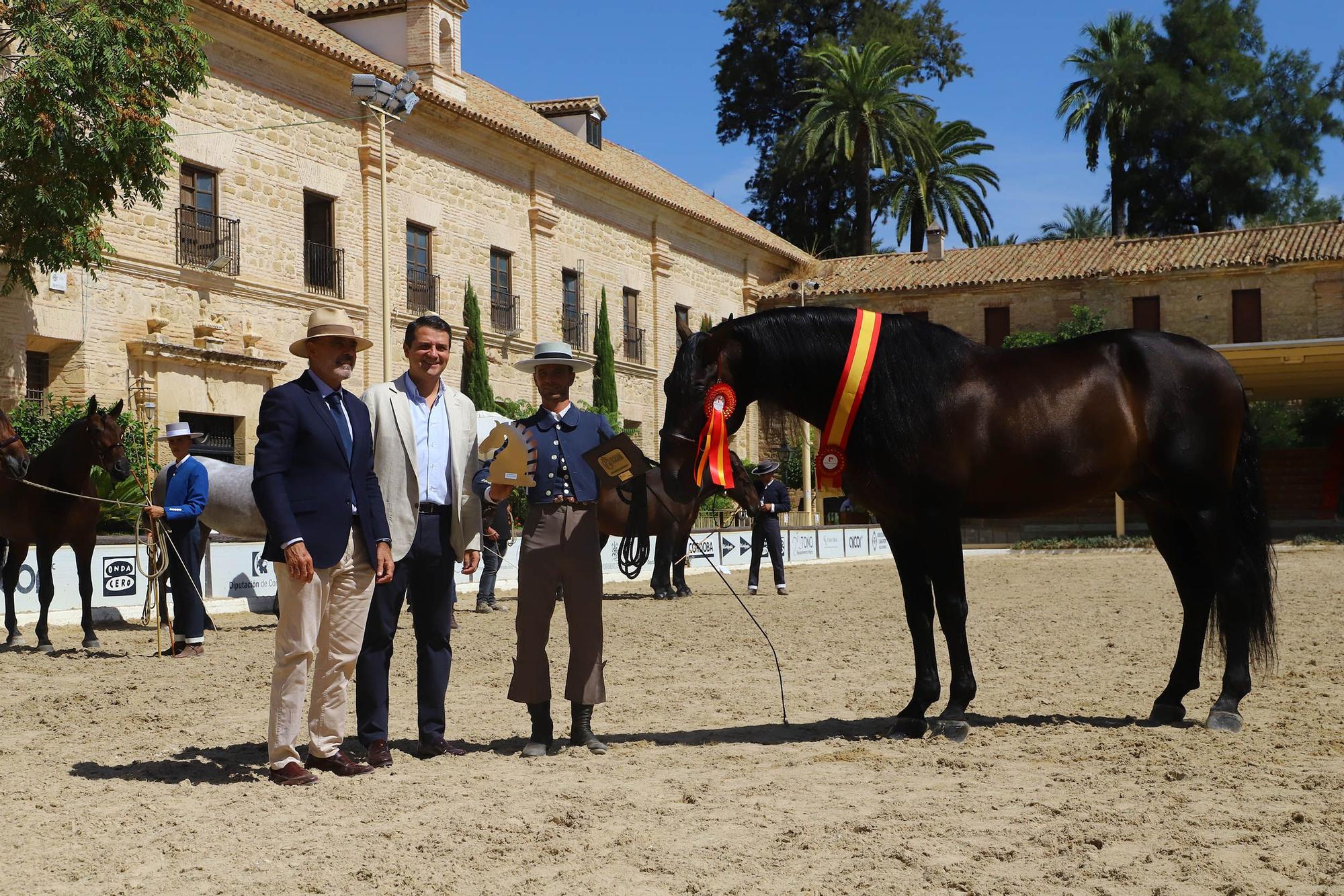 Cabalcor hace entrega de los premios especiales del concurso morfológico