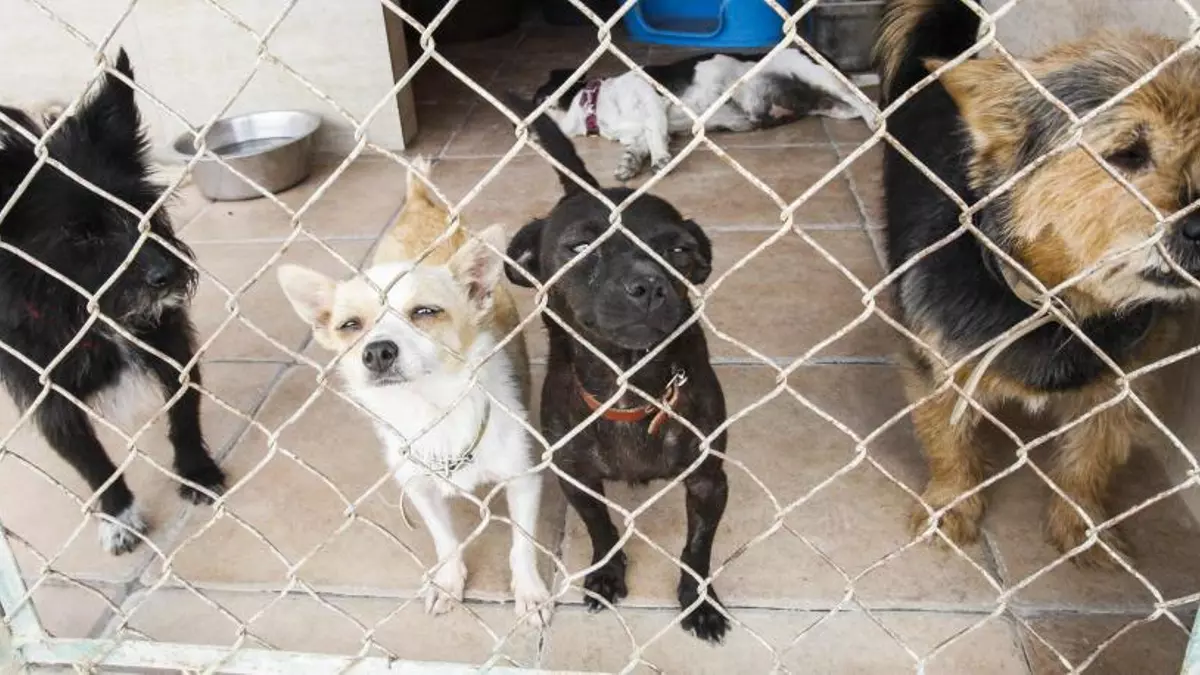 Sentido común en los plazos de abandono