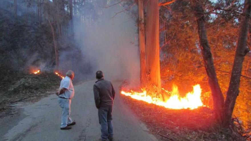 Incendio en las inmediaciones de Llamigu, en Llanes.