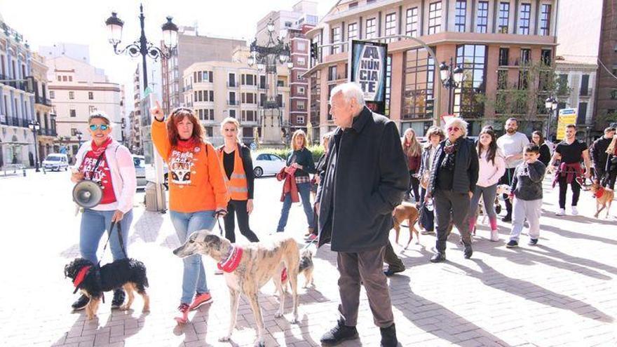 Una marcha solidaria evita el sacrificio de 20 perros en Castelló