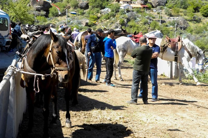 XX Feria Equina de La Culata de Tejeda