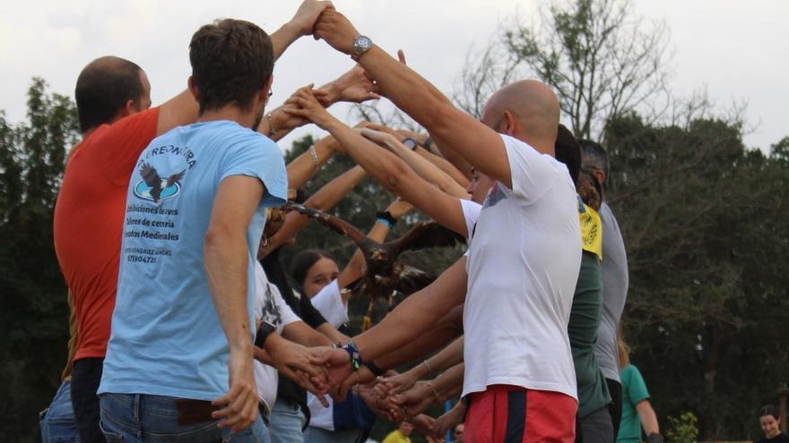 El halcón vuela dentro de un &quot;tubo&quot; formado por los brazos del público.