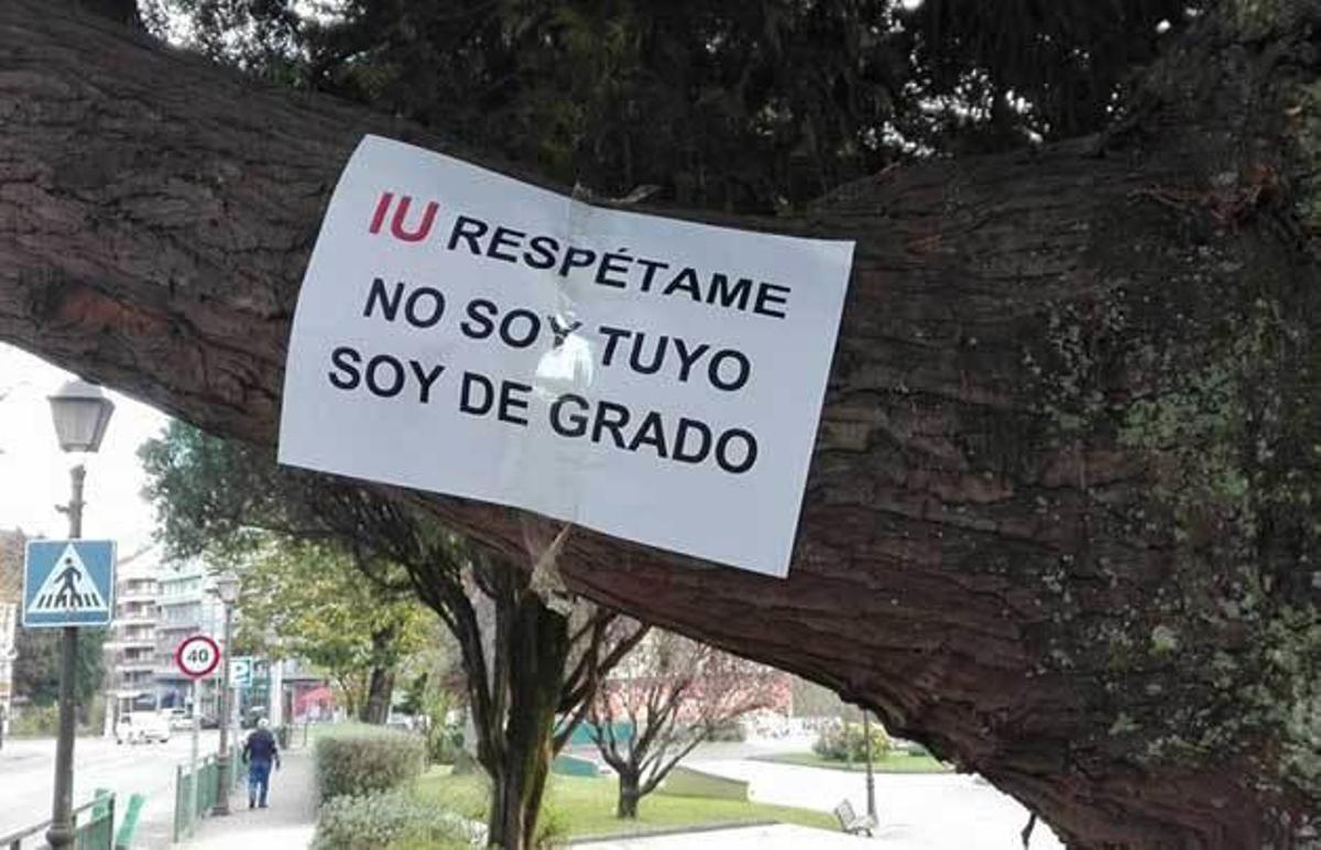Polémica en Grado a cuenta de la tala de árboles en el parque Manuel ...