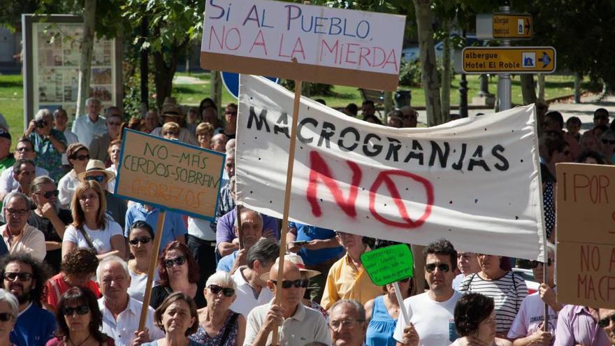 Protesta contra las macrogranjas en Tábara.