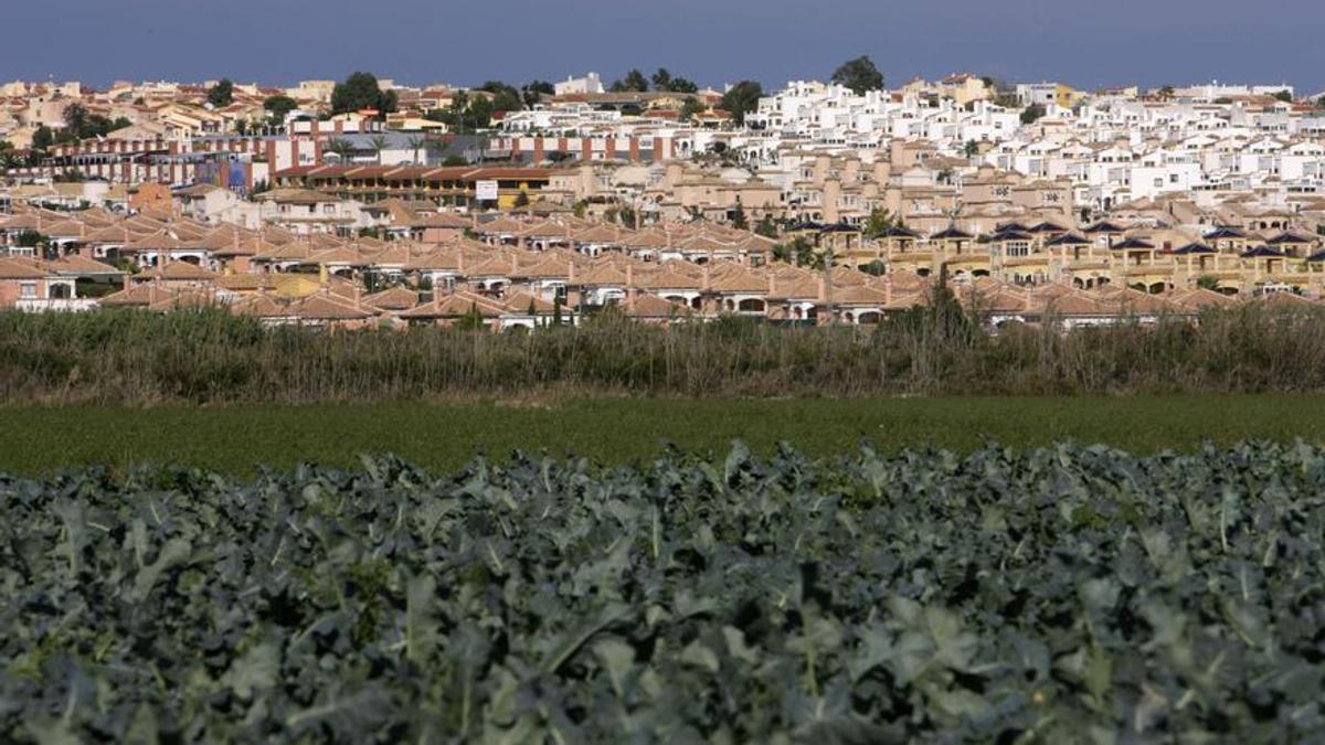 Zona de urbanizaciones junto a la huerta tradicional en la que fue localizado el prófugo británico por la Policía Nacional