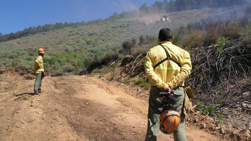 El ayuntamiento impulsa un taller profesional de peones forestales