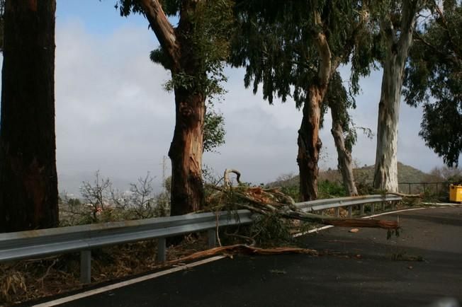 Daños causados por el viento en San Mateo (12/2/2016)