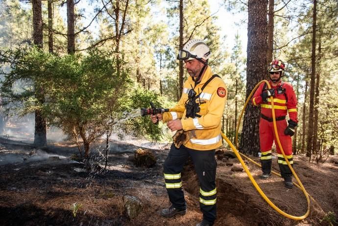 La UME realiza prácticas de prevención de incendios en Gran Canaria