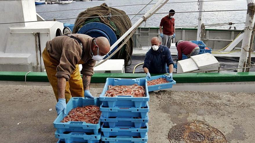 Pescadors descarregant el peix al port de Palamós el dimecres.