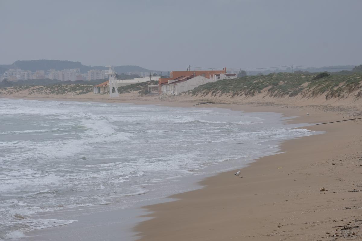 Playa El Pinet en Elche